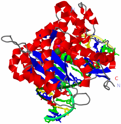 Image Asym./Biol. Unit