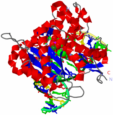 Image Asym./Biol. Unit - sites