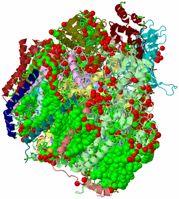 Image Biol. Unit 1 - sites