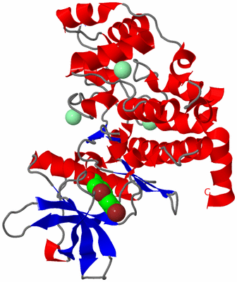 Image Asym./Biol. Unit