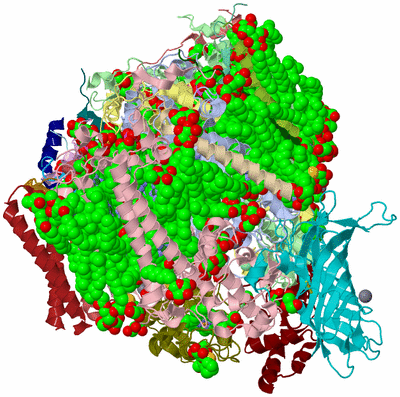 Image Biological Unit 1