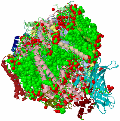 Image Biol. Unit 1 - sites