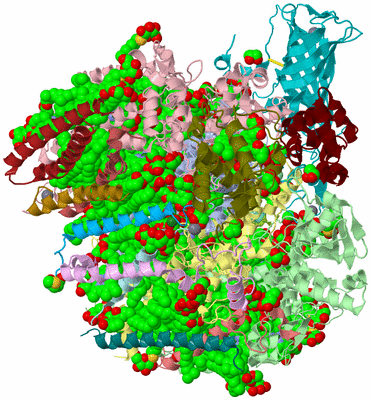 Image Biological Unit 2