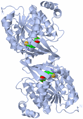 Image Biological Unit 1