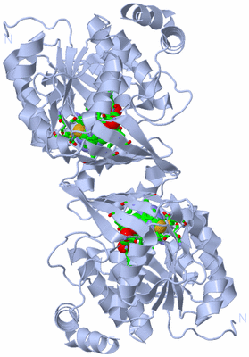 Image Biol. Unit 1 - sites