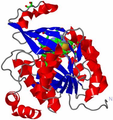 Image Asym. Unit - sites