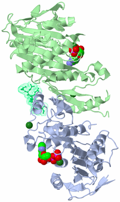 Image Biological Unit 1