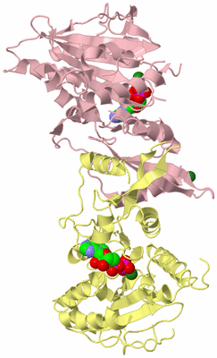 Image Biological Unit 2