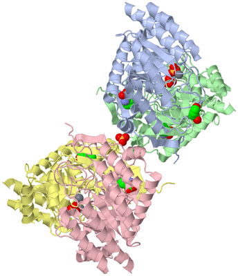 Image Asym./Biol. Unit