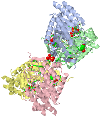 Image Asym./Biol. Unit - sites