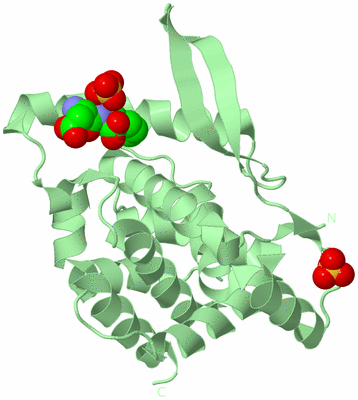 Image Biological Unit 2