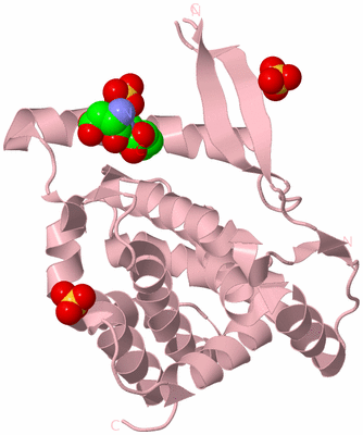 Image Biological Unit 3