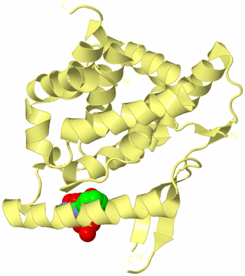 Image Biological Unit 4