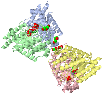 Image Asym./Biol. Unit