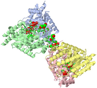 Image Asym./Biol. Unit - sites