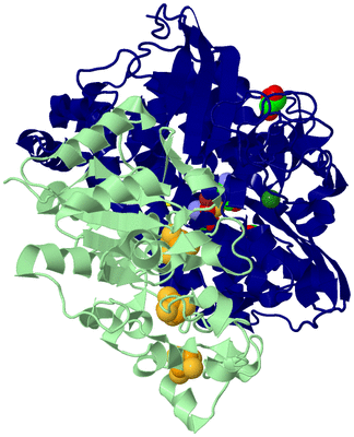 Image Biological Unit 2