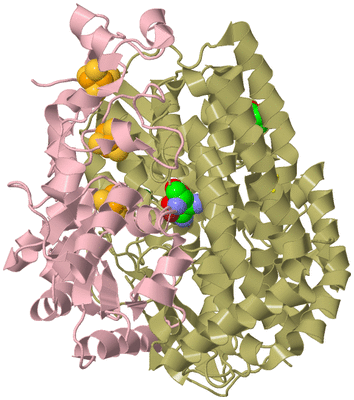 Image Biological Unit 3