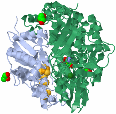 Image Biological Unit 1