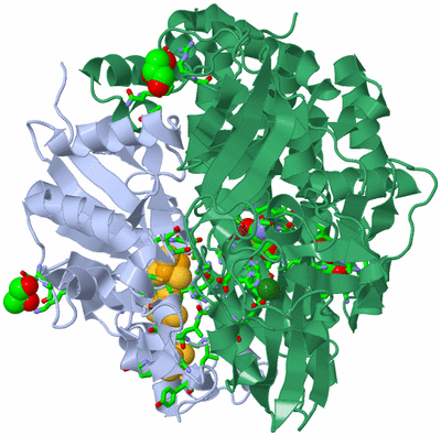 Image Biol. Unit 1 - sites