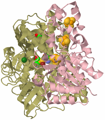 Image Biological Unit 2