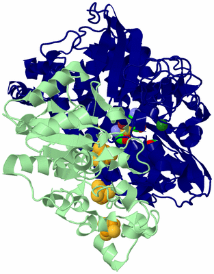 Image Biological Unit 3