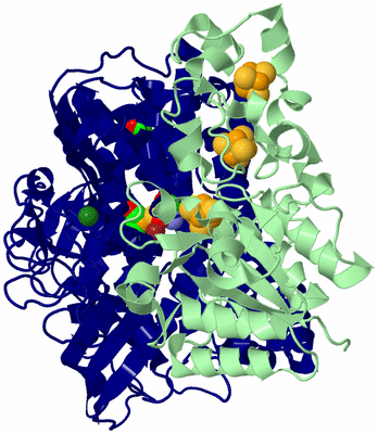 Image Biological Unit 2