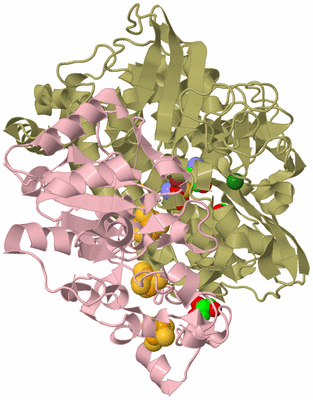 Image Biological Unit 3