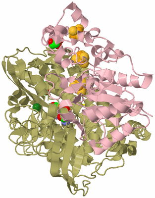 Image Biological Unit 2