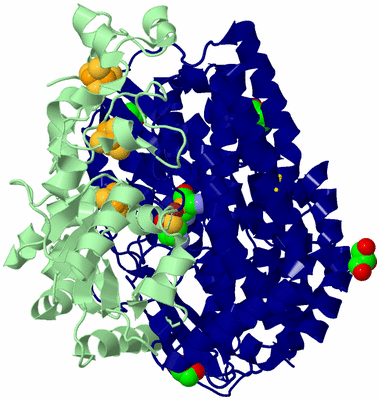 Image Biological Unit 3