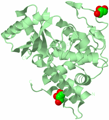 Image Biological Unit 2