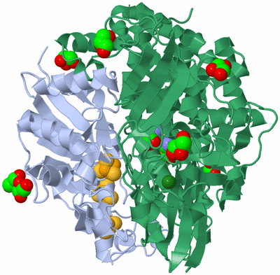 Image Biological Unit 1