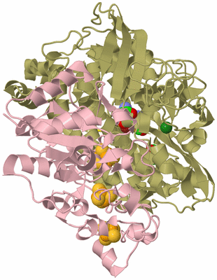 Image Biological Unit 2