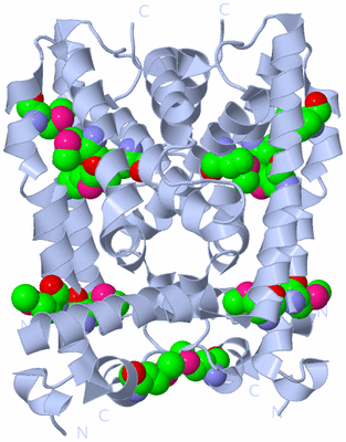 Image Biological Unit 1