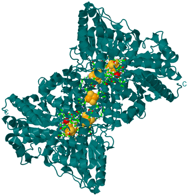 Image Biol. Unit 1 - sites