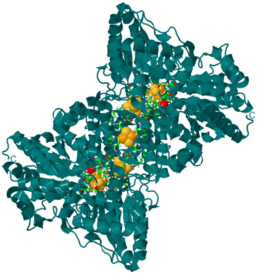 Image Biol. Unit 1 - sites