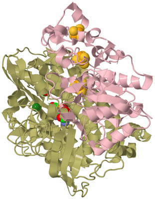 Image Biological Unit 1