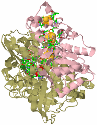 Image Biol. Unit 1 - sites