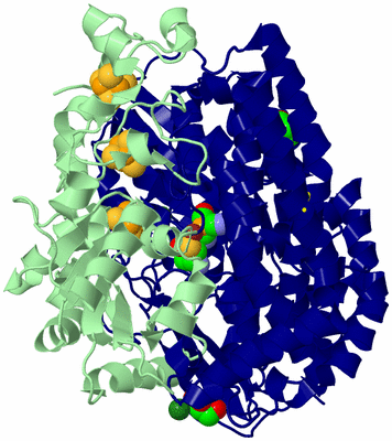 Image Biological Unit 2