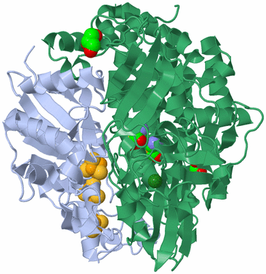 Image Biological Unit 3