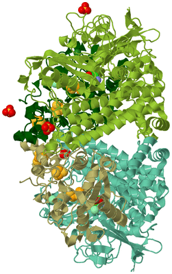 Image Asym./Biol. Unit