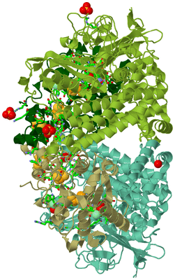 Image Asym./Biol. Unit - sites