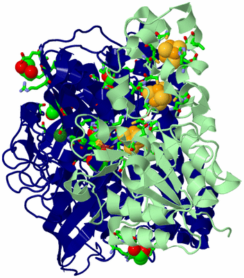 Image Biol. Unit 1 - sites