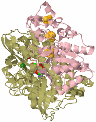 Image Biological Unit 2