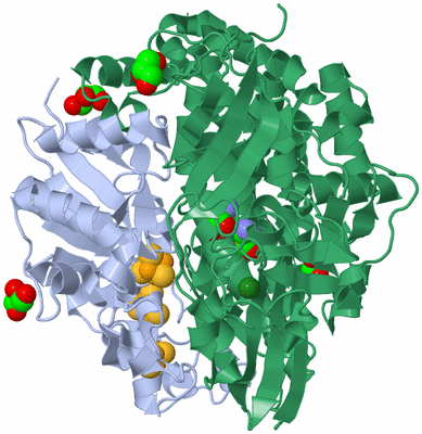 Image Biological Unit 3