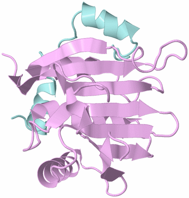 Image Biological Unit 3