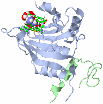 Image Biol. Unit 1 - sites