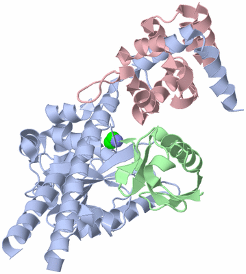 Image Asym./Biol. Unit