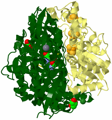 Image Biological Unit 1