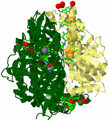 Image Biol. Unit 1 - sites