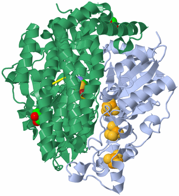 Image Biological Unit 2